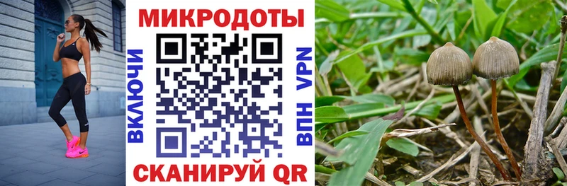 Псилоцибиновые грибы GOLDEN TEACHER  купить  сайты  Кизел 